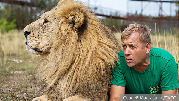     Фото: Сергей Мальгавко/ТАСС   
 Текст: Татьяна Косолапова