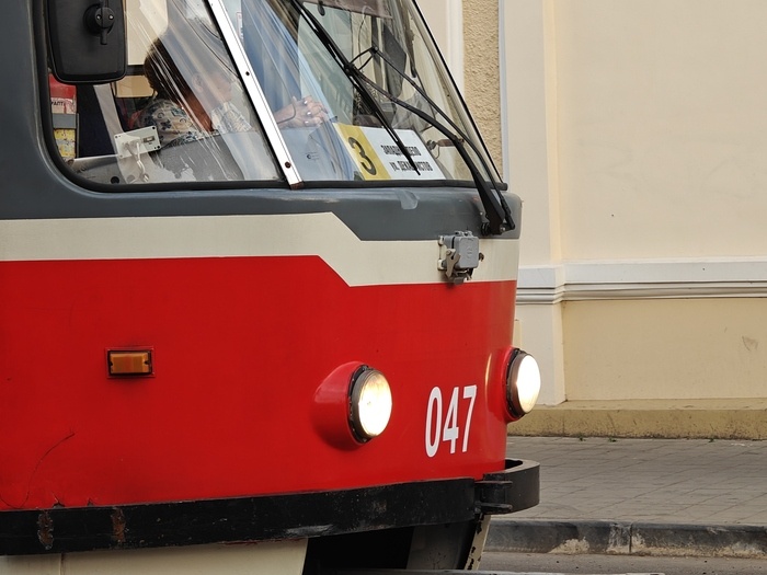    Фото: Юрий Серебренников/BFM Кубань