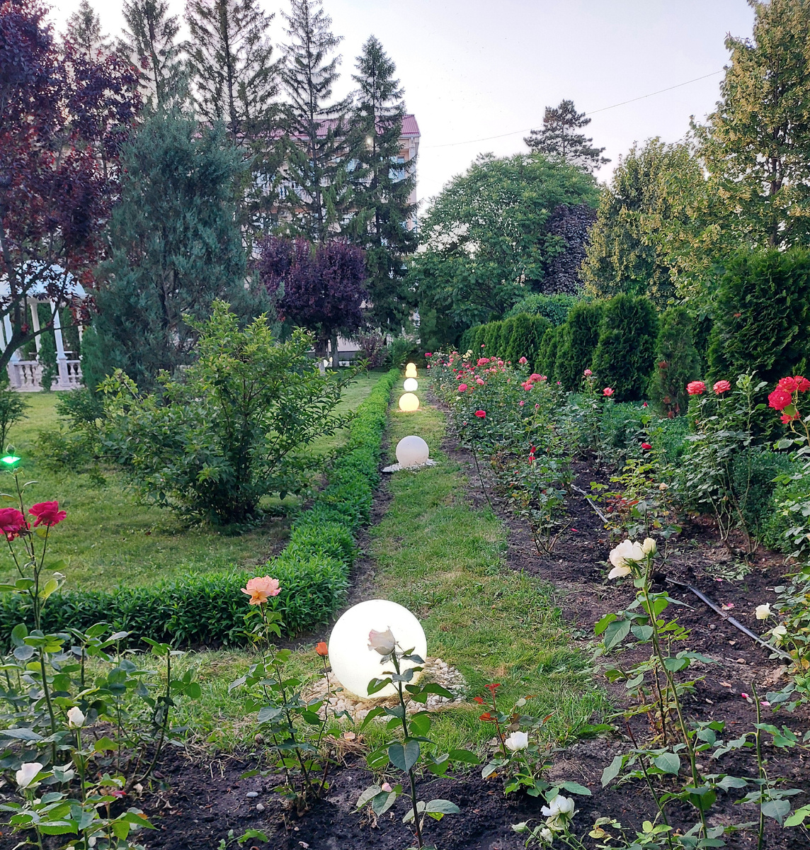 Фото автора