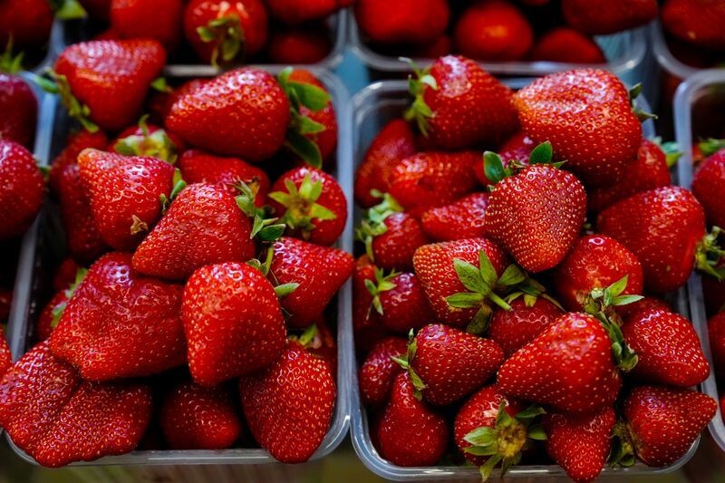     / Источник: © ИЗВЕСТИЯ/Эдуард Корниенко