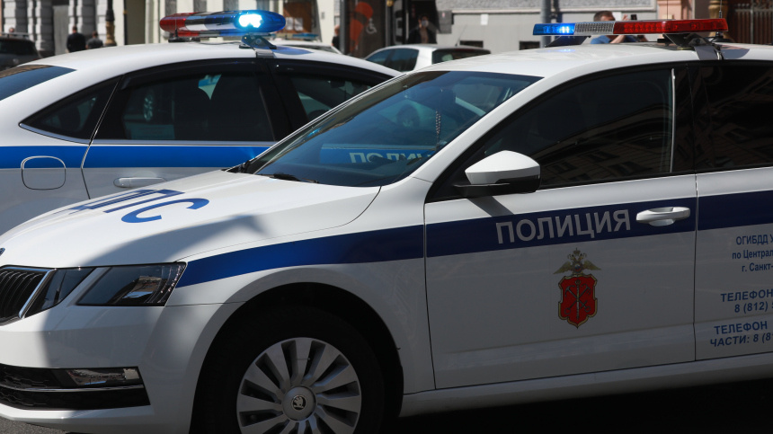    Фото: ИЗВЕСТИЯ/Сергей Коньков; 5-tv.ru