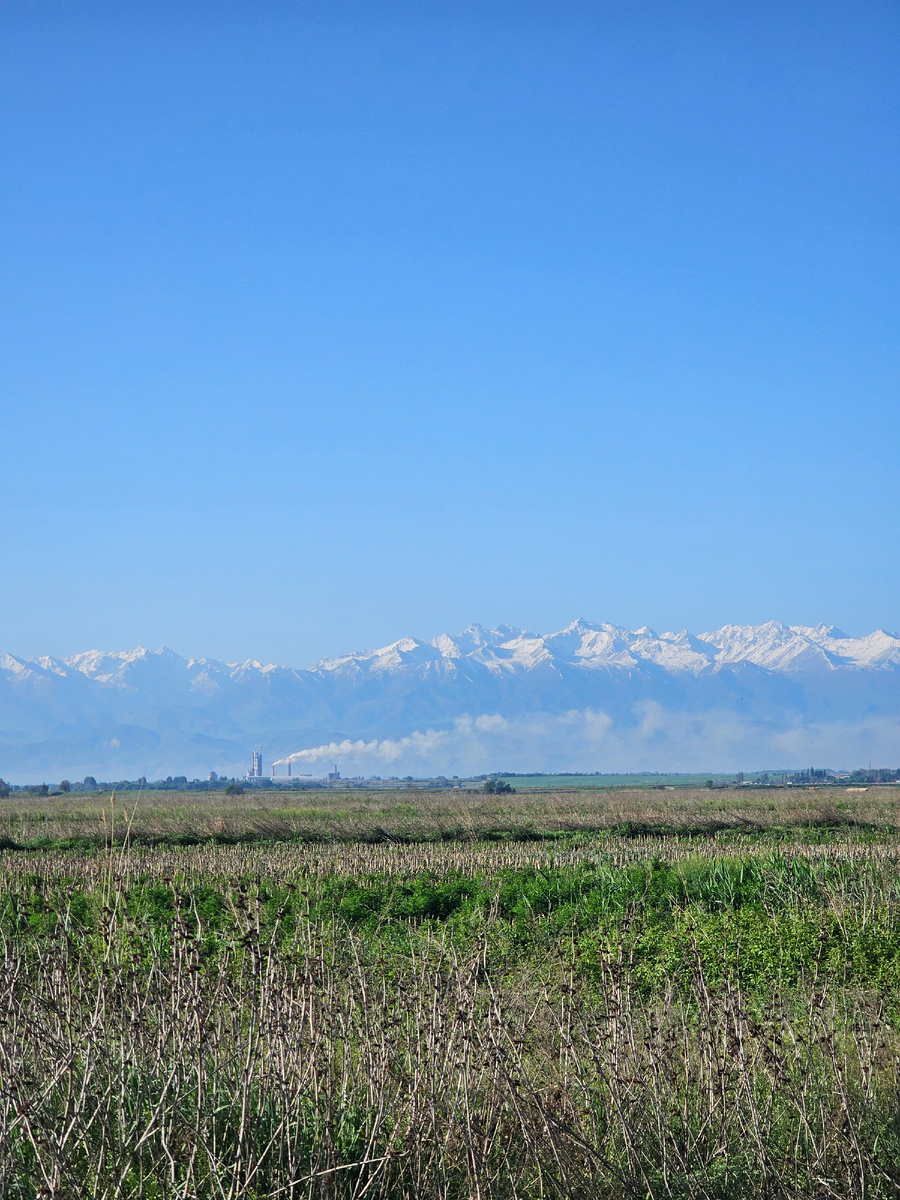 Пригород Бишкека