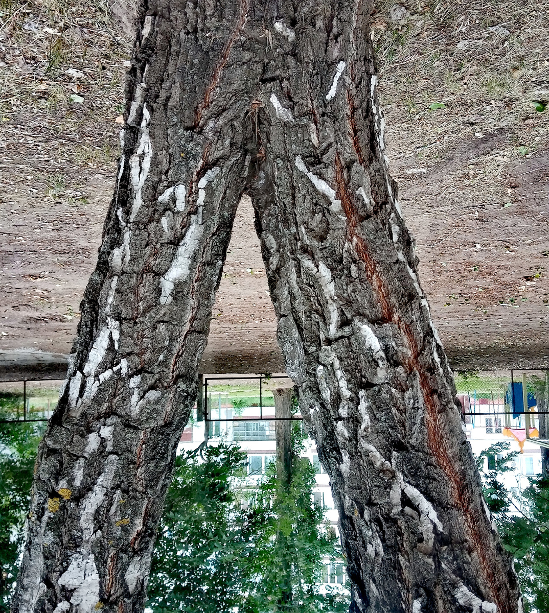 Фото автора.