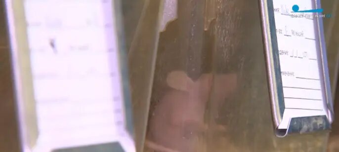    Фото: скриншот репортажа телеканала «Санкт-Петербург»