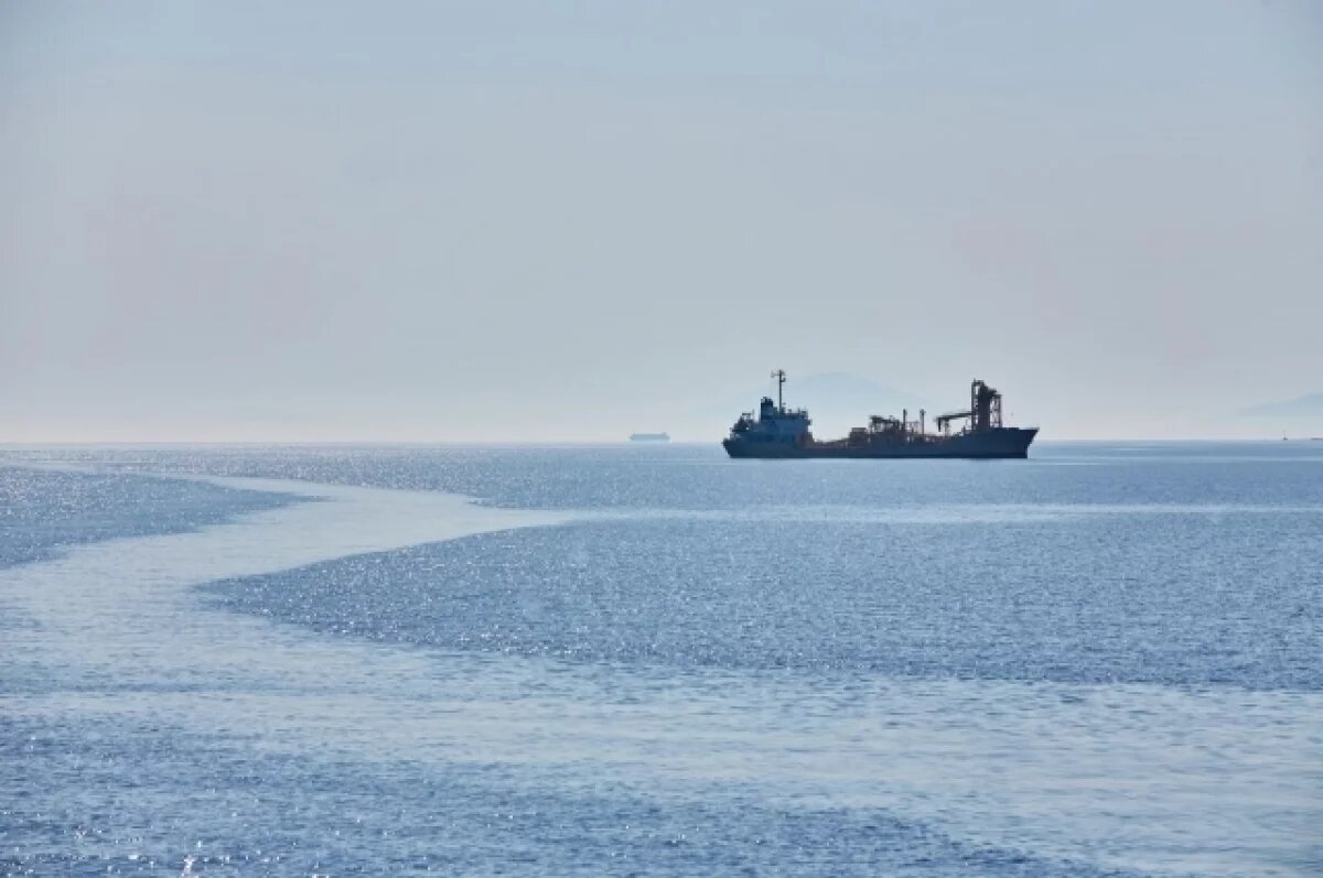    Экономист Кульбака объяснил, как закрытие Ормузского пролива повлияет на РФ