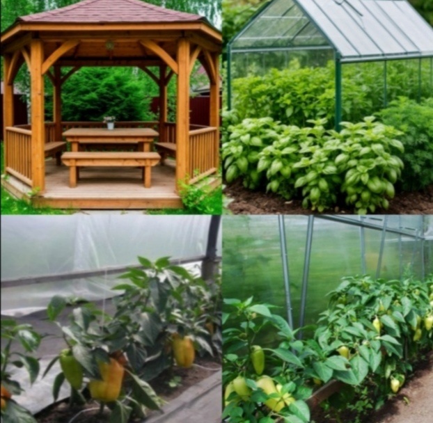 Это часть моего огорода и беседка