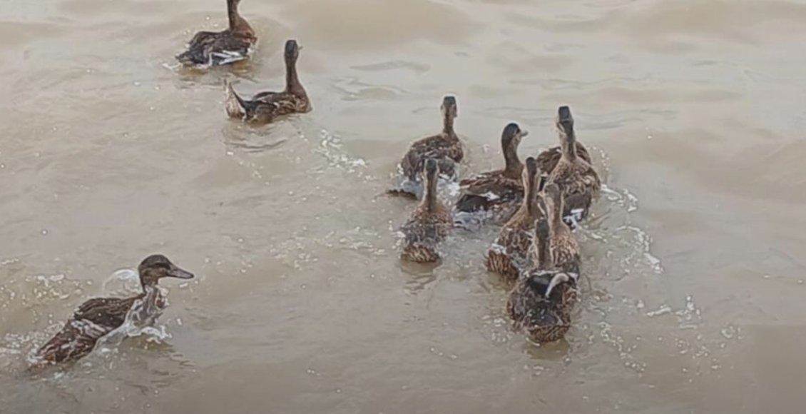    Фото: Минприроды Ростовской области