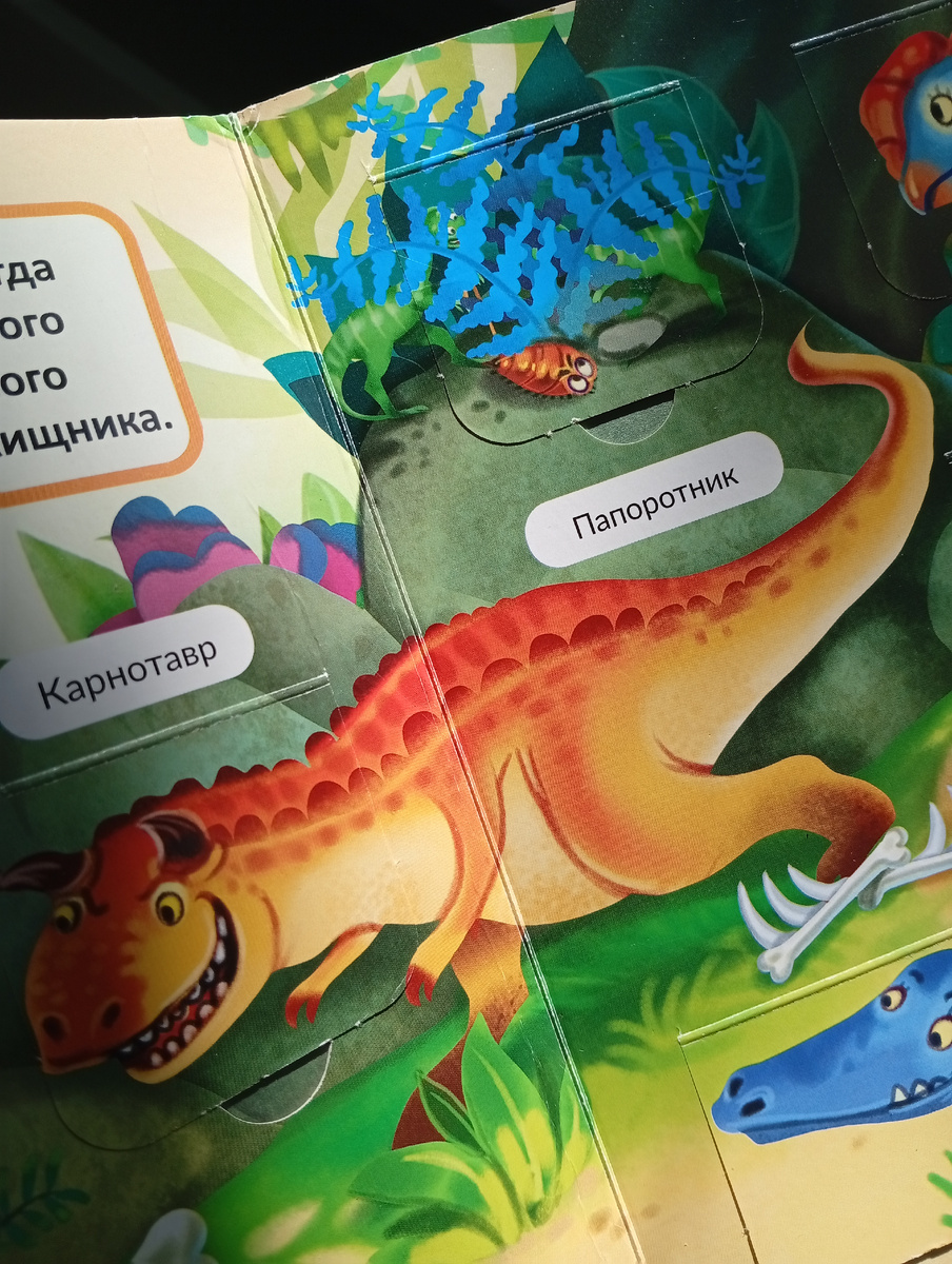 Эти растения  хранят в себе тайны, уходящие корнями в далёкое прошлое? Представьте себе: эти растения были свидетелями эпохи динозавров и пережили миллионы лет эволюции.