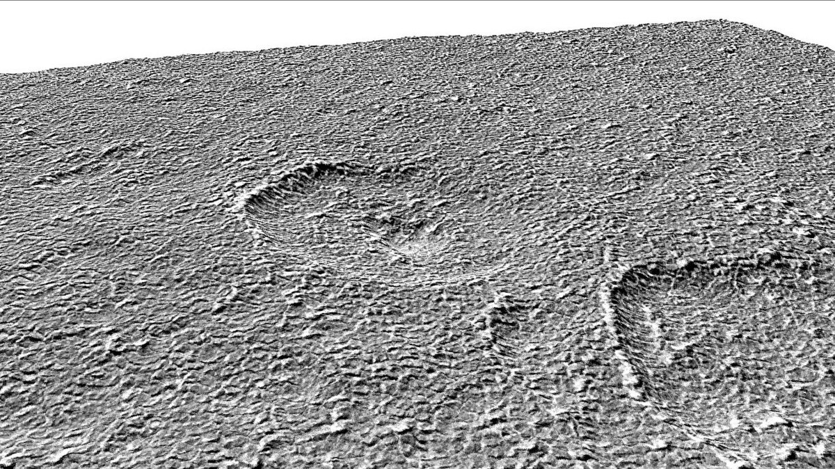 Фото: University of Mississippi  📷
