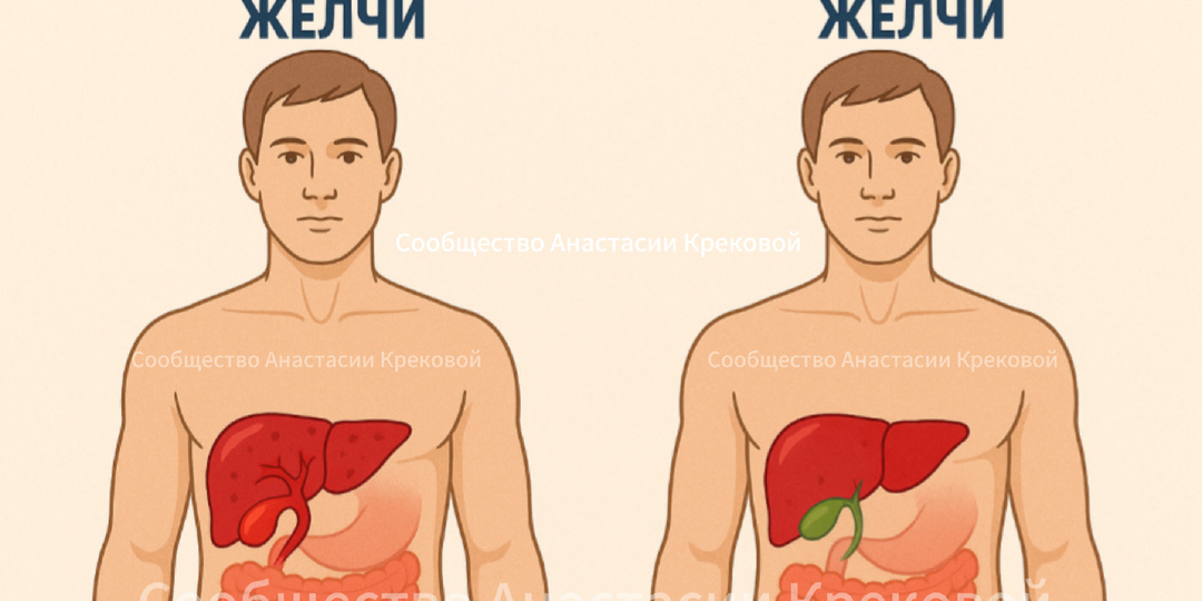 10 полезных завтраков, которые стимулируют желчеотделение благодаря правильным продуктам и сочетаниям.