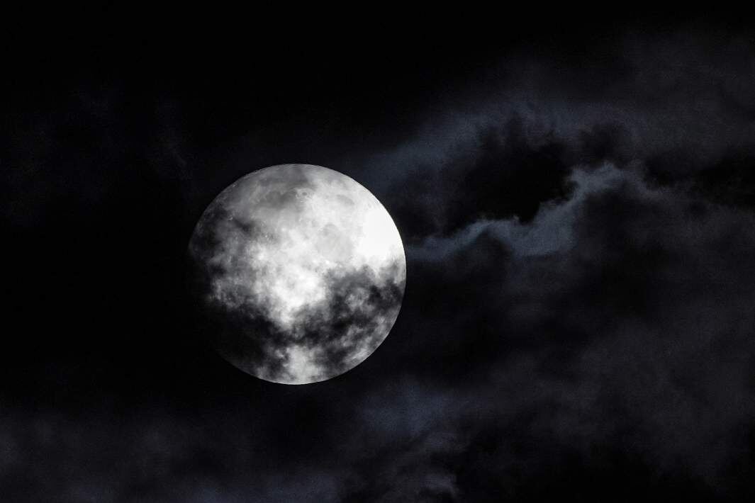 Фото: ИЗВЕСТИЯ/Сергей Лантюхов