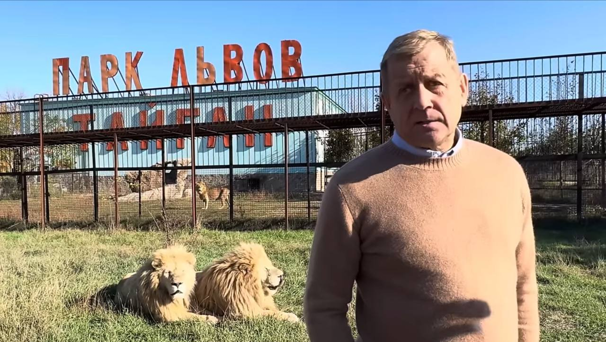 Источник https://avatars.dzeninfra.ru/get-zen_doc/271828/pub_685845556359be521427bdd0_6858455704af7c23601de5c5/scale_1200