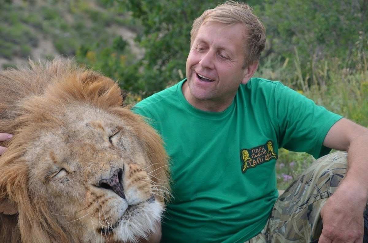 Источник https://avatars.dzeninfra.ru/get-zen_doc/271828/pub_685845556359be521427bdd0_6858459d4ad6d45c94de5e7b/scale_1200