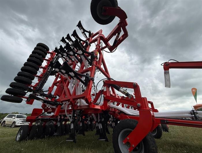    ФОТО: Белова Александра, Белова Александра