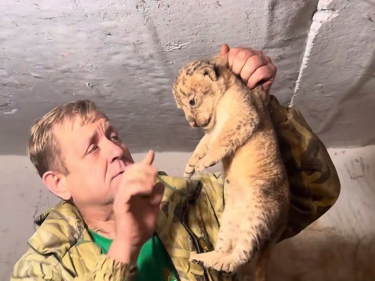     Фото: Telegram-канал "Олег Зубков ЧЕЛОВЕК ЛЕВ"