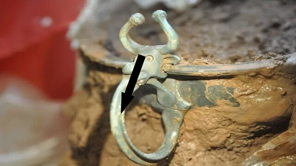    Загадка внутри камня: как железный гвоздь оказался внутри древнего песчаника