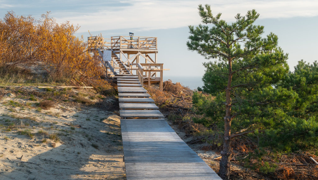    Фото: пресс-служба Минприроды России