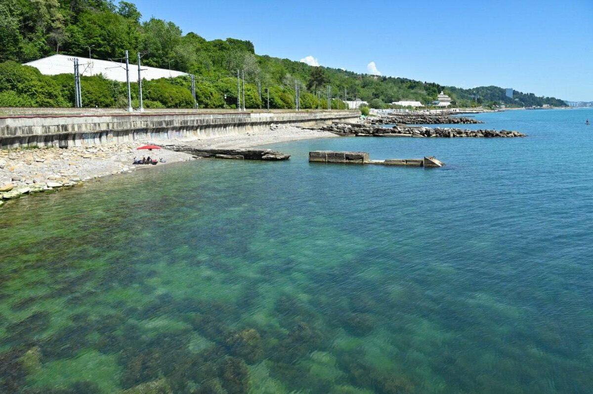    Фото: пресс-служба администрации города Сочи