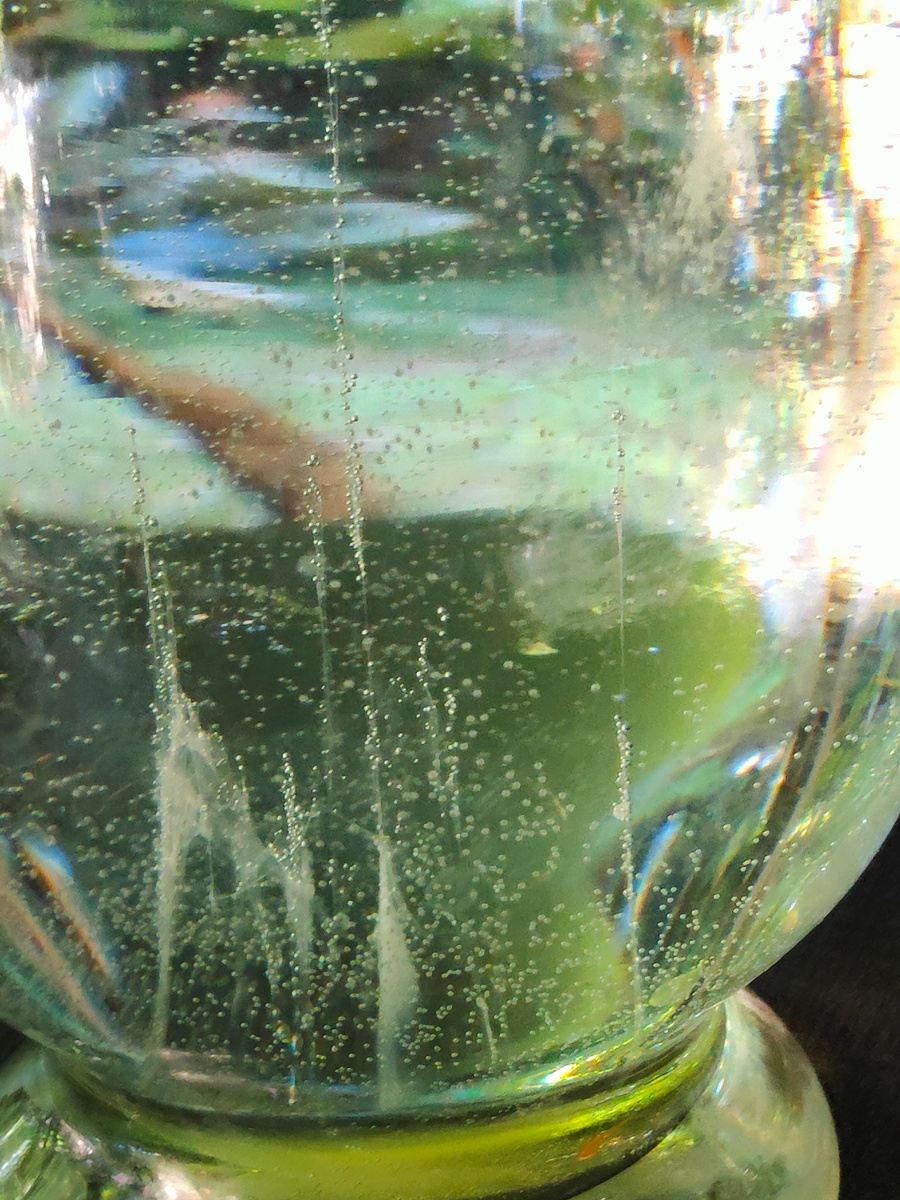 Таким предстал мой "парусник" в этом году. Я истолковала его как надежду на начало позитивных преобразований.