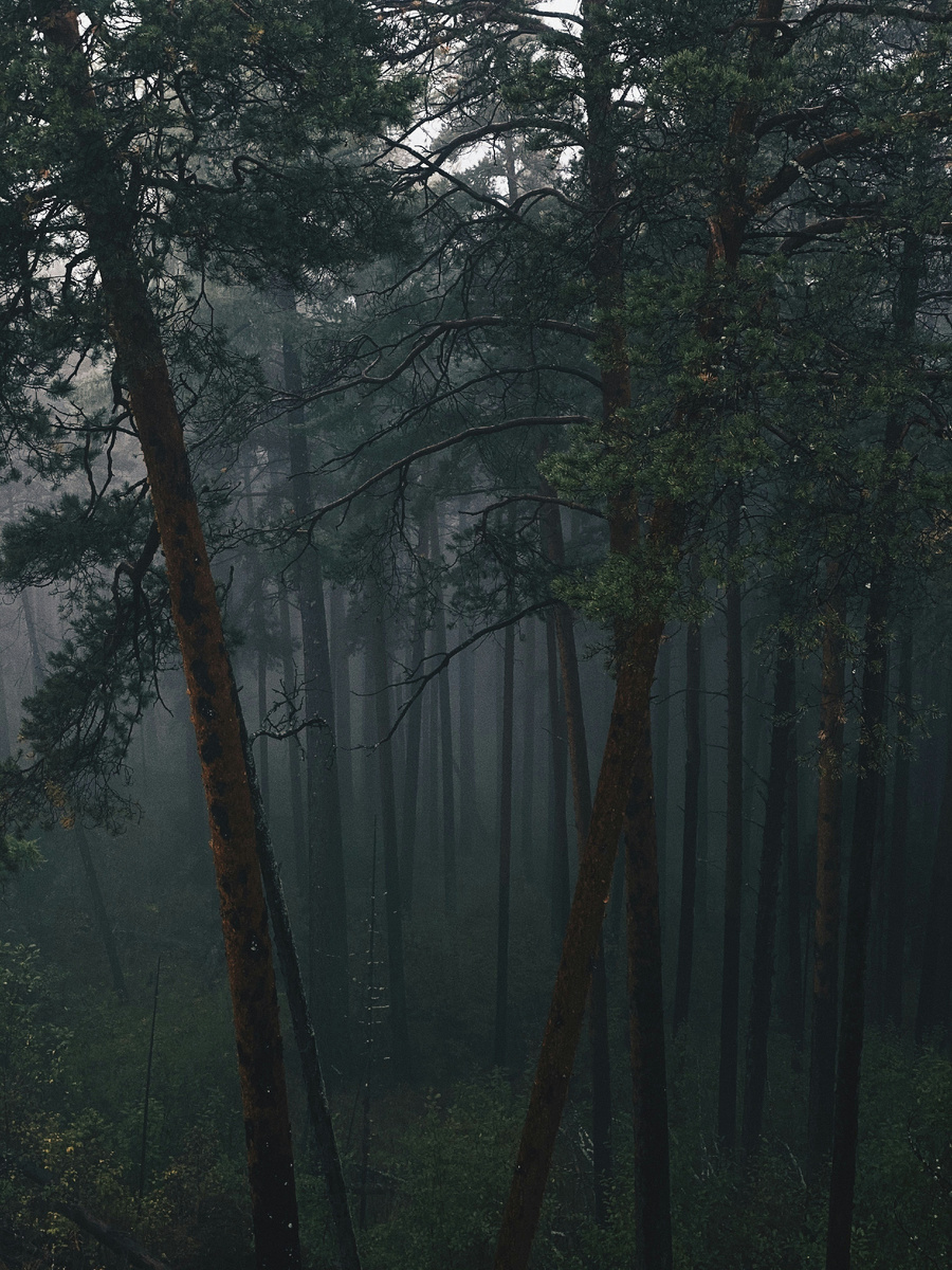 Photo by Max Anz on Unsplash