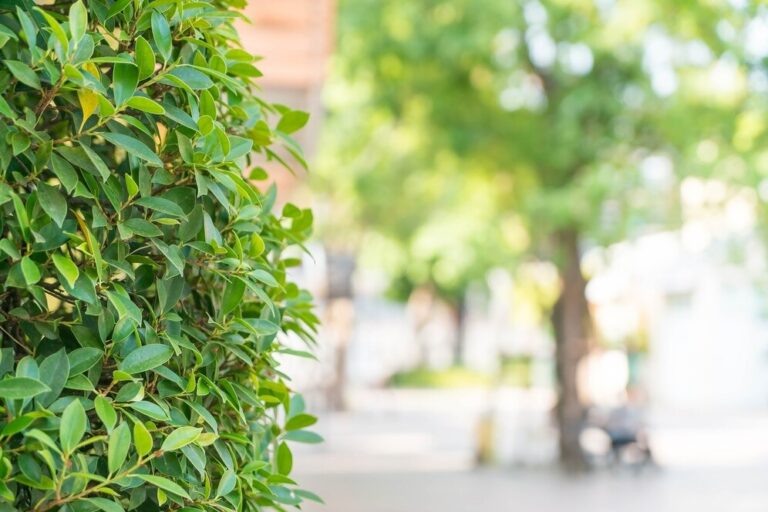    Фото: freepik.com/topntp26 Ольга Чистова