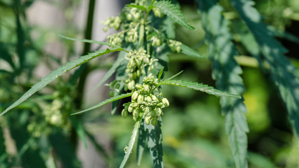 Фото: Олег Харсеев / Коммерсантъ