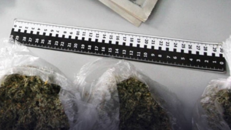      Фото: Антинаркотическая комиссия СК