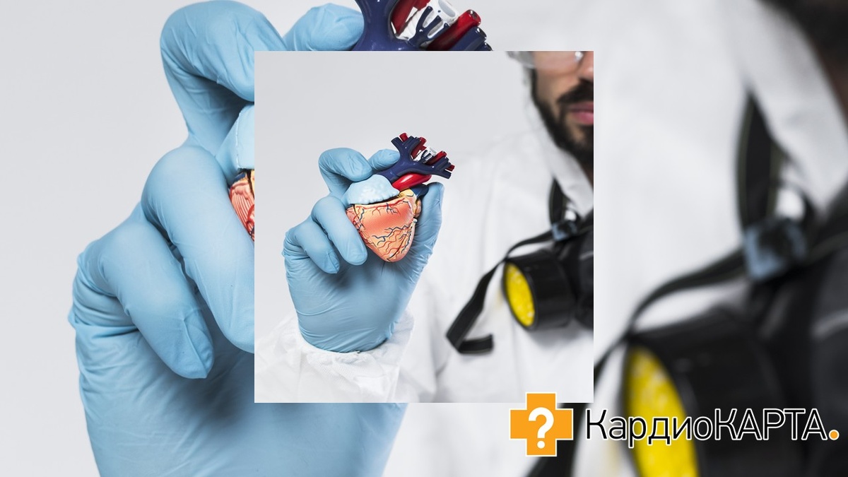 Источник фото: freepik.com