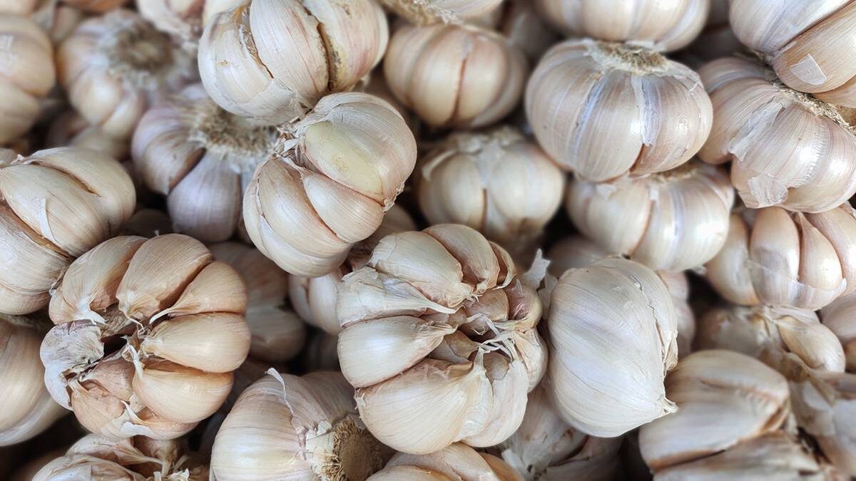    Фото: Shutterstock