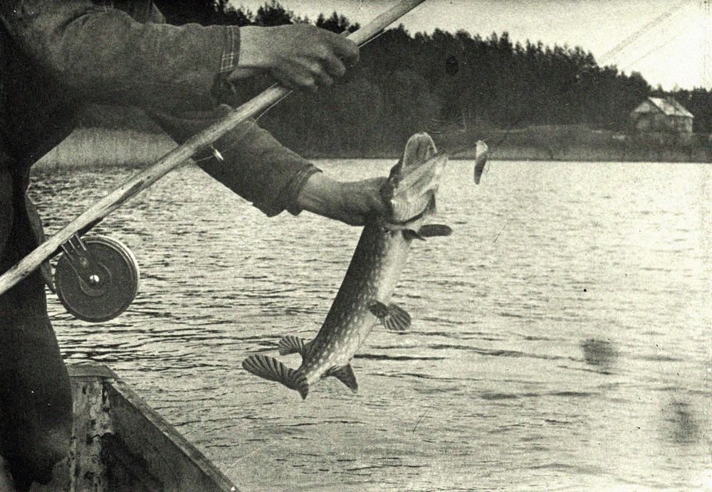 Типичная рыбалка в советском союзе.