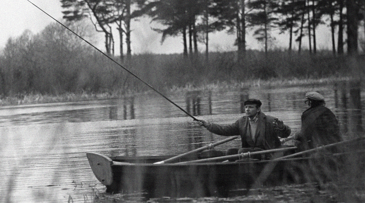 Дорога к пруду.