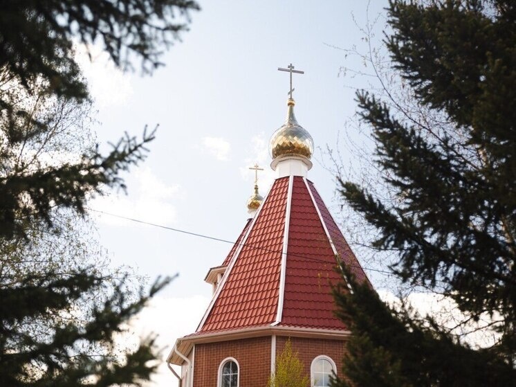   Анна Арапова