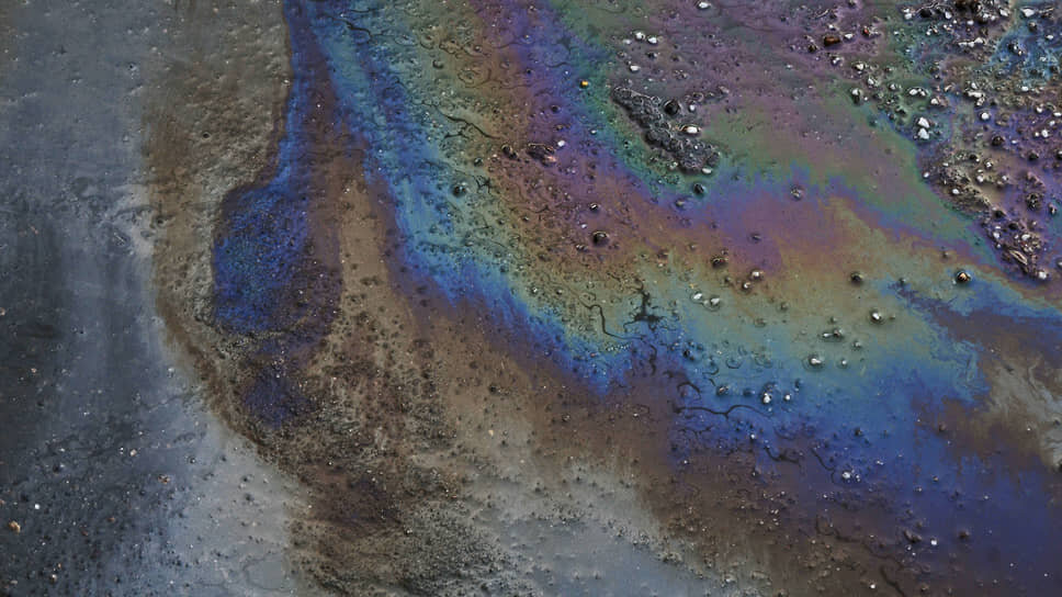 Фото: Сергей Куликов / Коммерсантъ