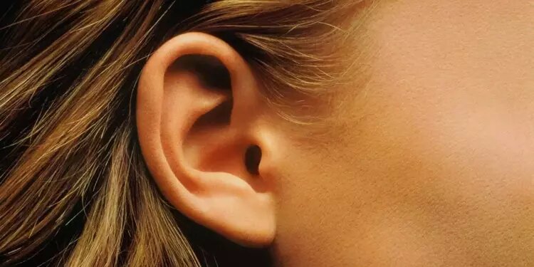 Открытый интернет