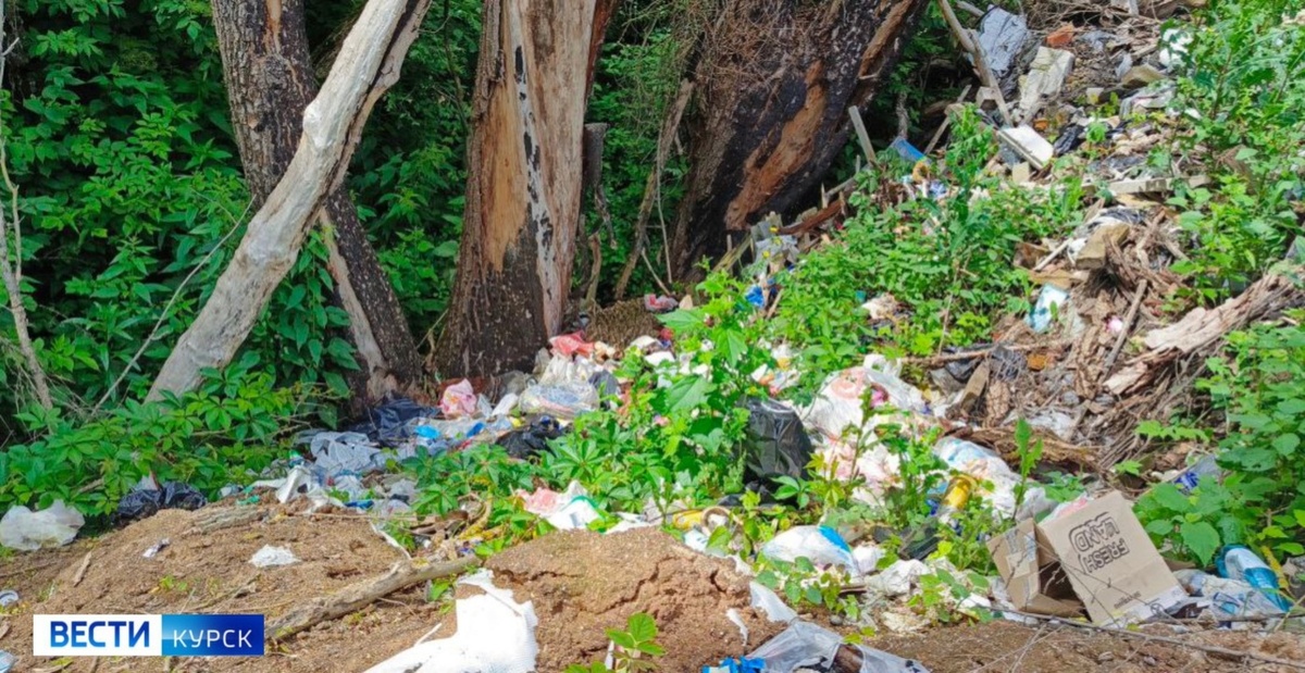    В районе улицы Полевой в Курске образовалась стихийная свалка