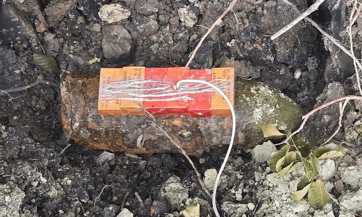    Фото t.me/rosgvard_krasnodar