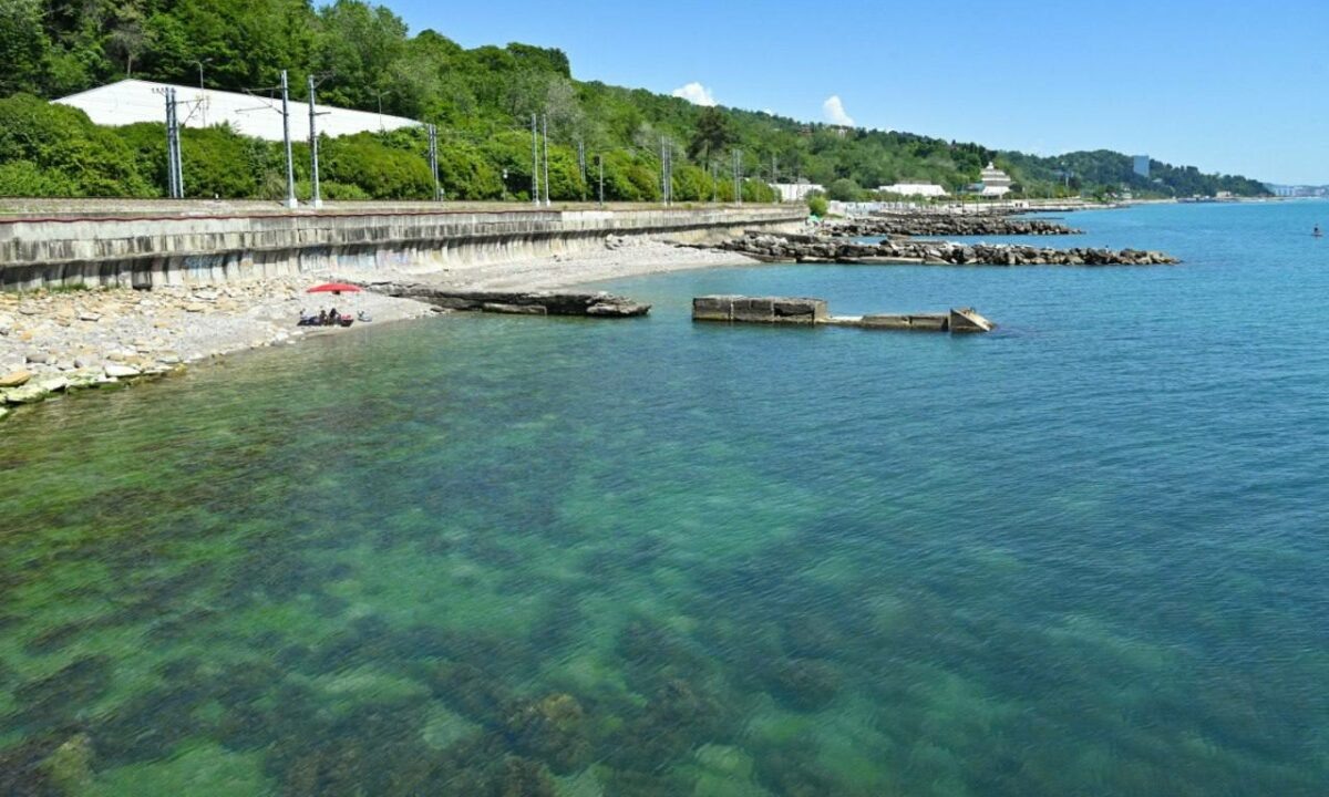    Фото t.me/agproshunin