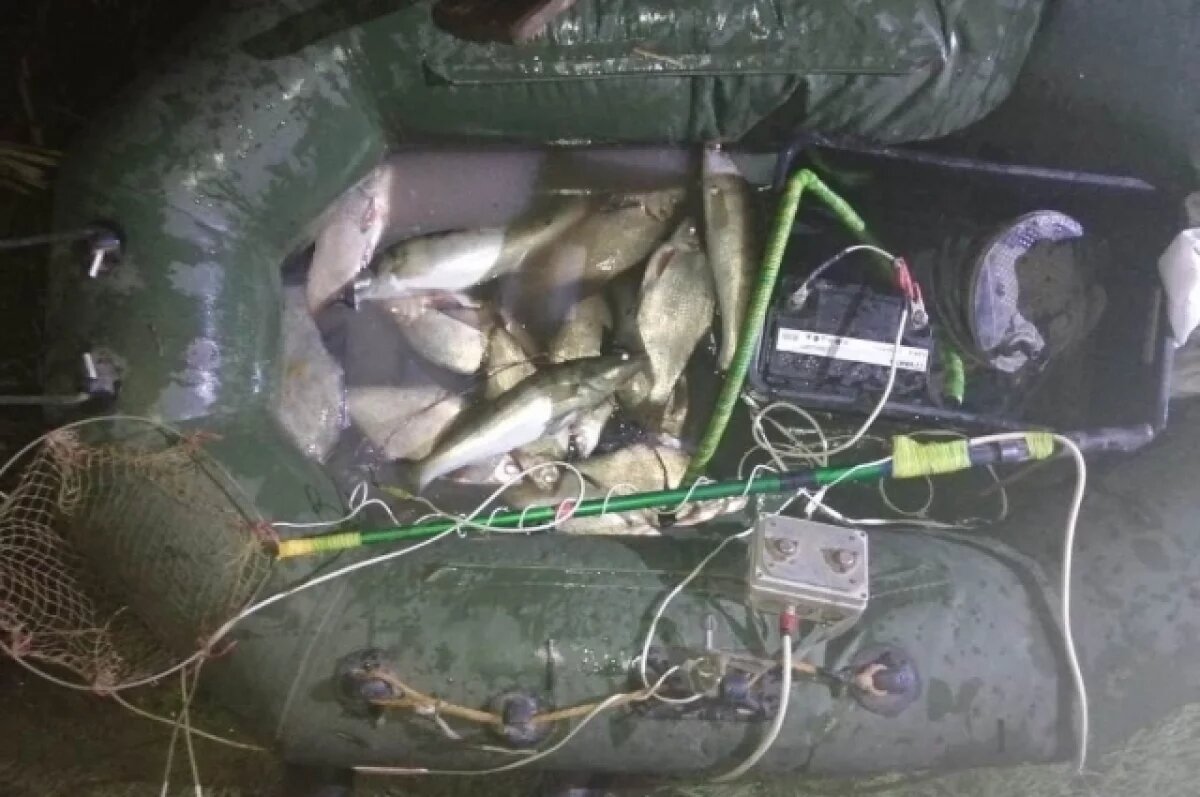    Любителя рыбной ловли оставили без сетей и авто под Волгоградом