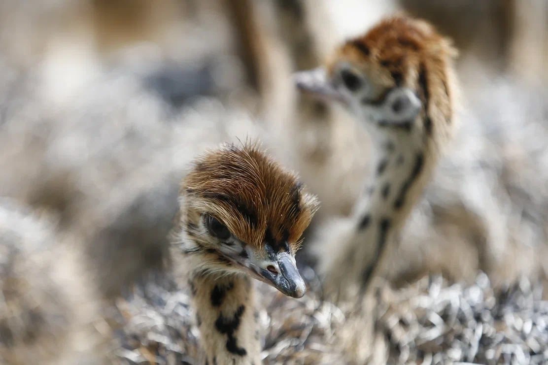 Фото: администрация Краснодарского края