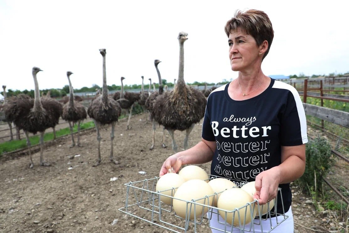 Фото: администрация Краснодарского края