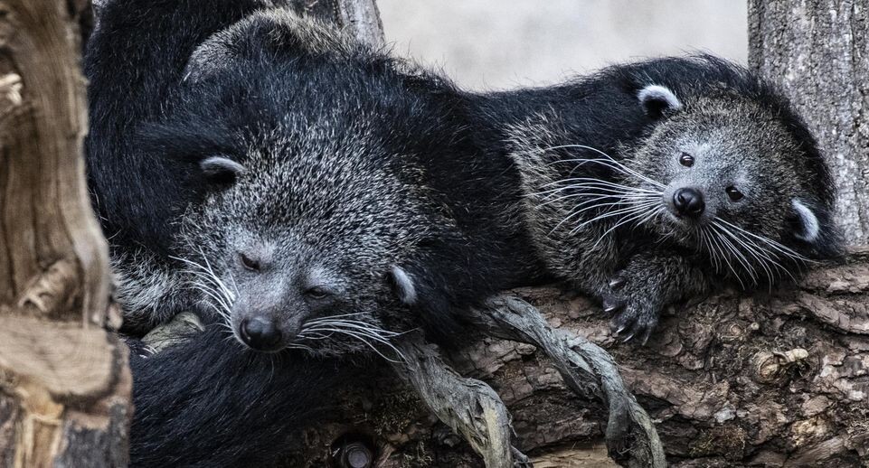    Paul Zinken/dpa / www.globallookpress.com