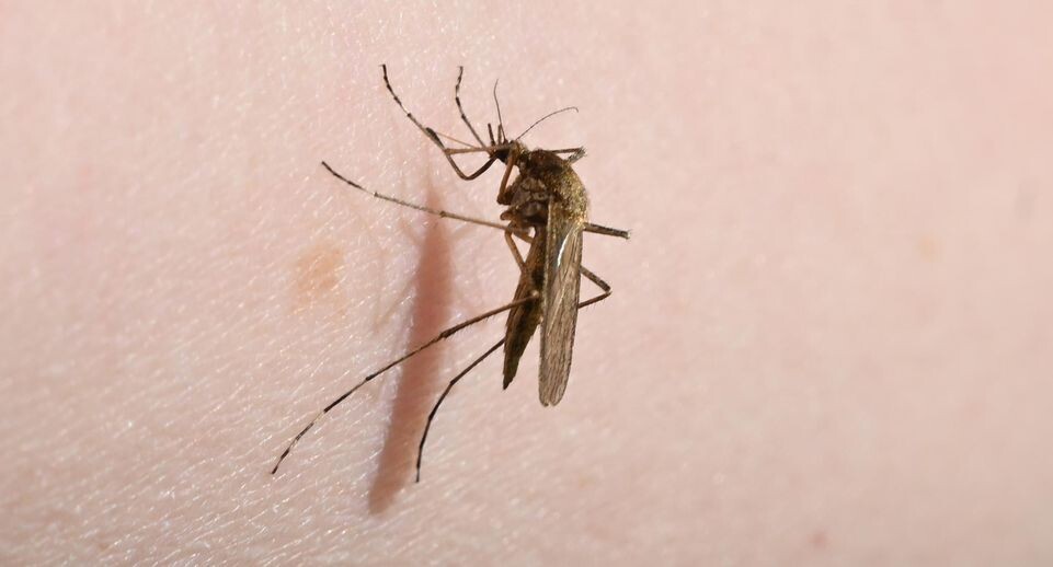    Stefan Sauer/dpa / www.globallookpress.com