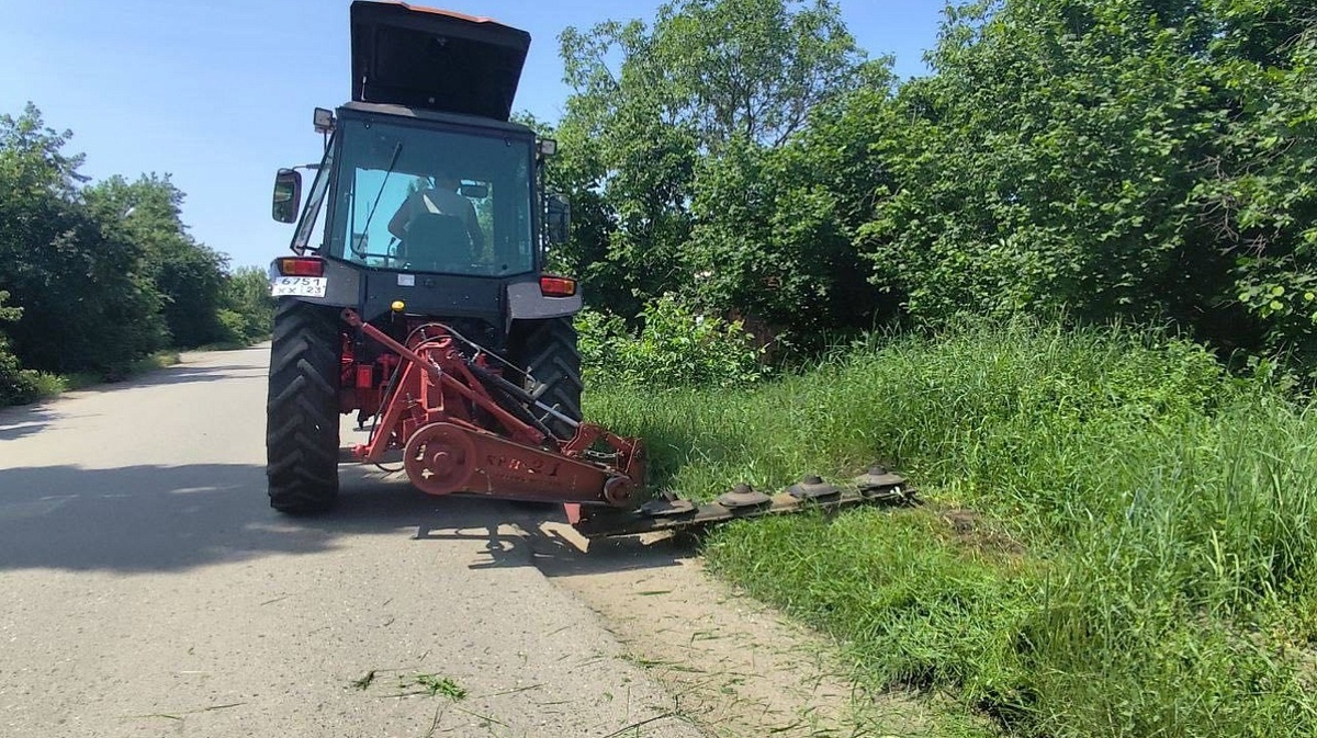     Фото: Пресс-служба администрации Краснодара