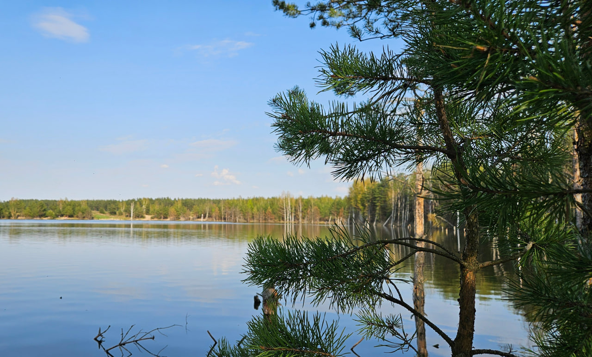 КП «Lake Villas Club» расположен в окружении лесного массива на берегу большого озера размером 34 гектара.