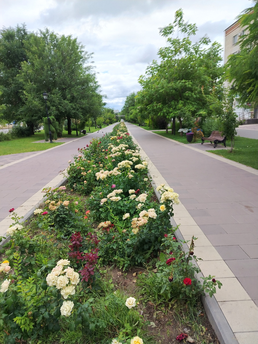 Фото автора