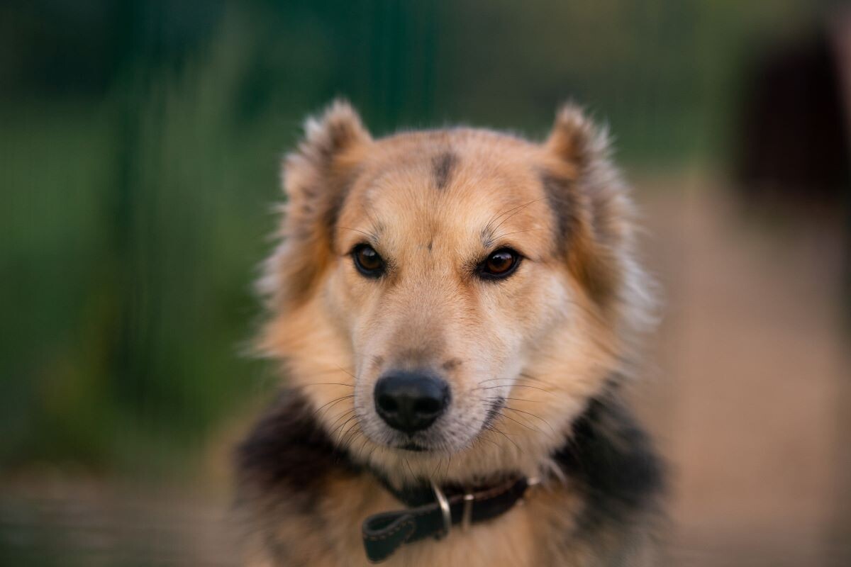 Фото: Александр Плонский/ «ВиЖ»