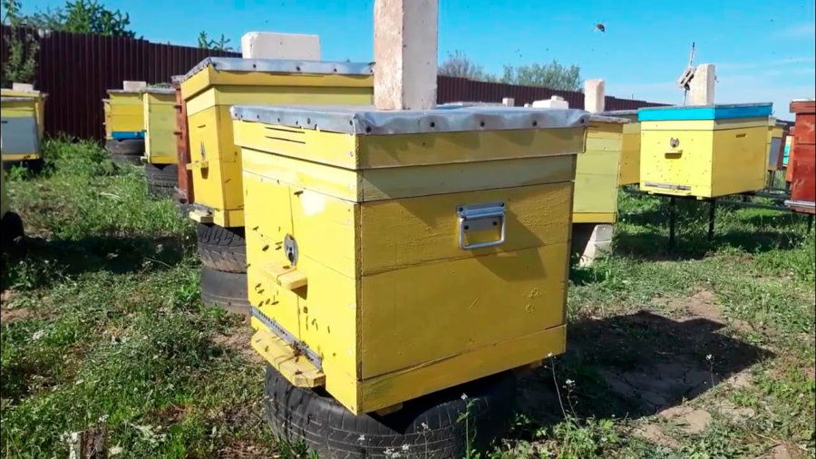     Как избежать роения и приумножить пасеку?