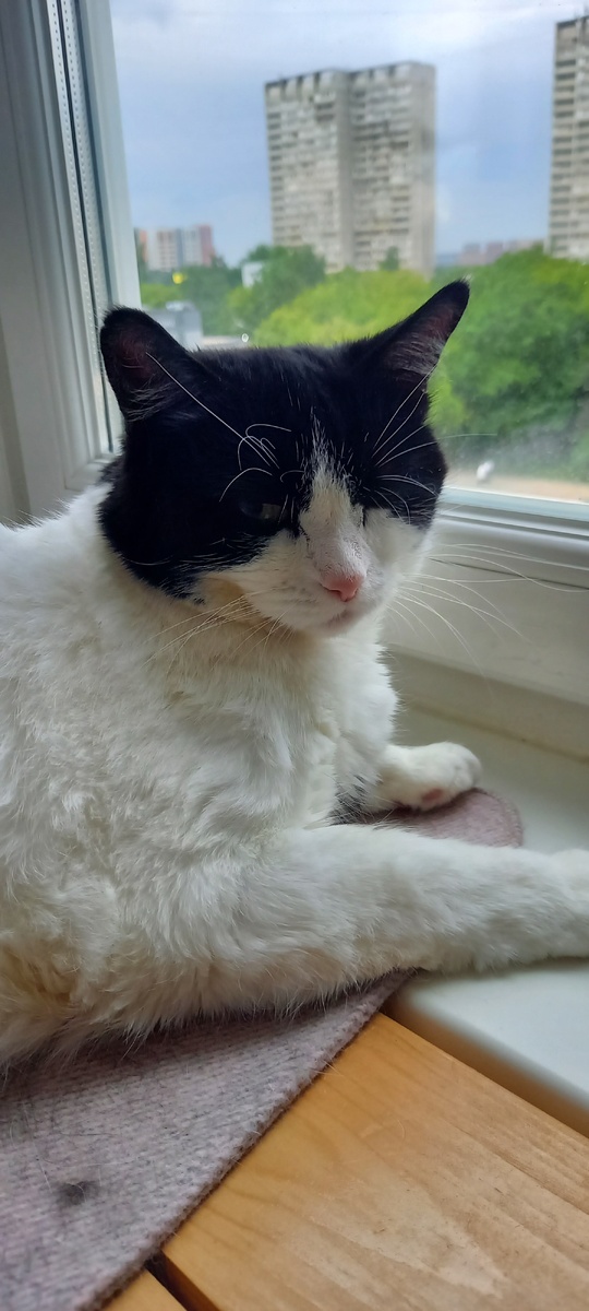 Фото автора