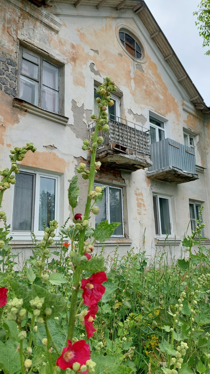 Ульяновск. Фото автора 21.06.2025