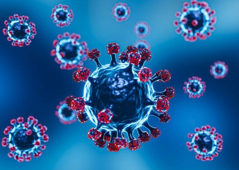    Фото: freepik.com/free-photo Анфиса Слепцова